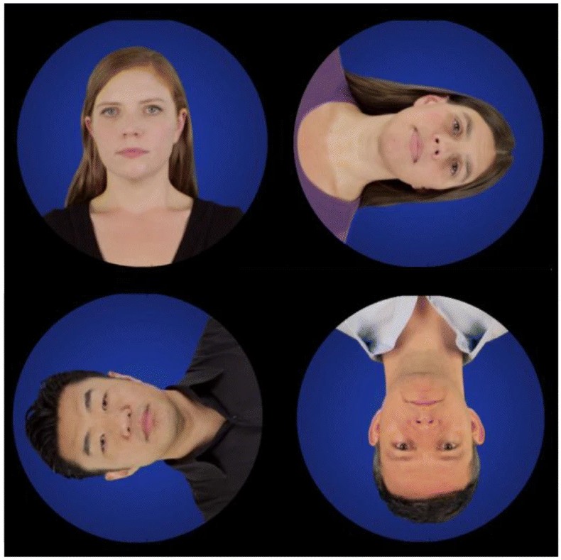 How the visual system shapes hearing